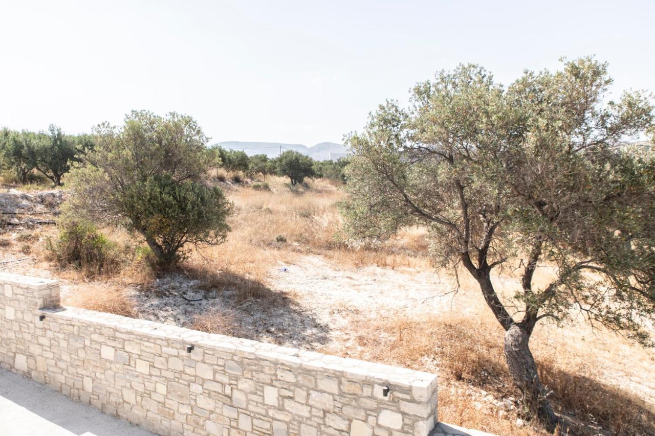 Aeonios Luxury Villa Pitsidia Exteriér fotografie